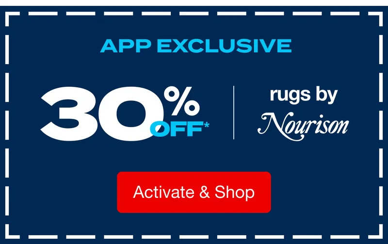 30% off Nourison Rugs