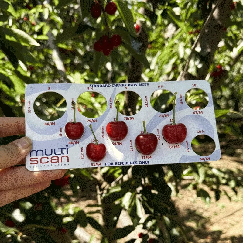 Cherries