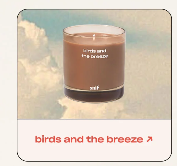 Birds and the Breeze →