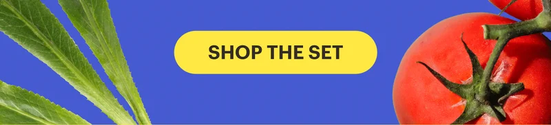 SHOP THE SET