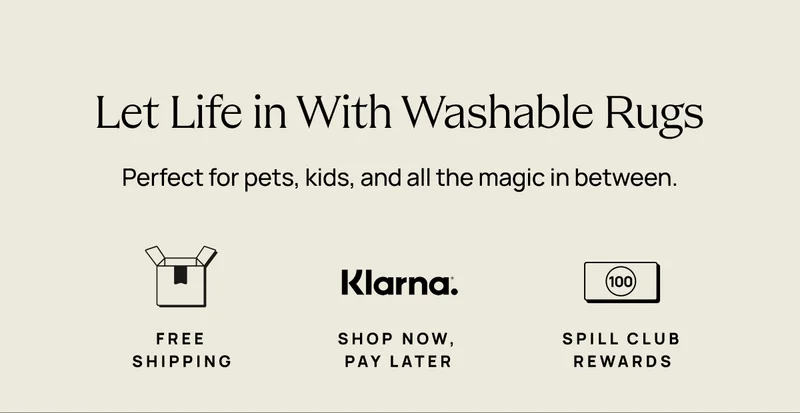 Let Life in With Washable Rugs