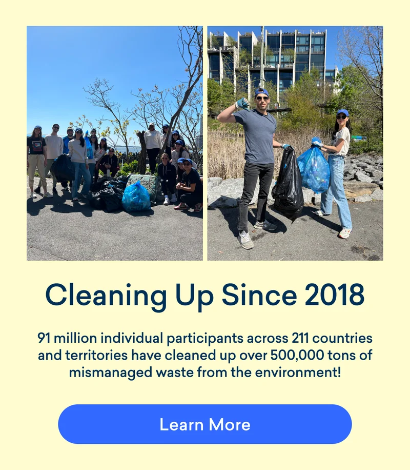 Cleaning up since 2018