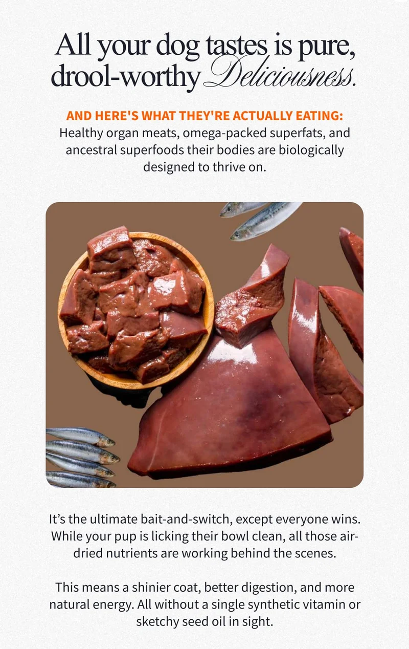 All your dog tastes is pure, drool-worthy Deliciousness. | And here's what they're actually eating: Healthy organ meats, omega-packed superfats, and ancestral superfoods their bodies are biologically designed to thrive on. | It’s the ultimate bait-and-switch, except everyone wins. While your pup is licking their bowl clean, all those air-dried nutrients are working behind the scenes.  This means a shinier coat, better digestion, and more natural energy. All without a single synthetic vitamin or sketchy seed oil in sight.