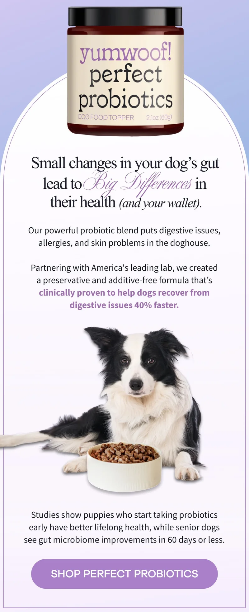 Small changes in your dog’s gut lead to Big Differences in  their health (and your wallet). | Our powerful probiotic blend puts digestive issues, allergies, and skin problems in the doghouse.  Partnering with America's leading lab, we created a preservative and additive-free formula that’s clinically proven to help dogs recover from digestive issues 40% faster. | Studies show puppies who start taking probiotics early have better lifelong health, while senior dogs see gut microbiome improvements in 60 days or less. | SHOP PERFECT PROBIOTICS
