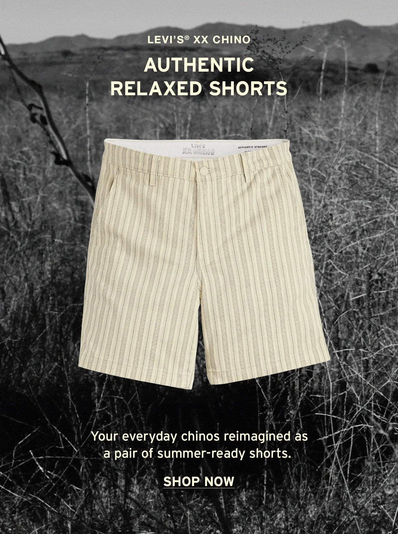 XX CHINO AUTHENTIC RELAXED SHORTS