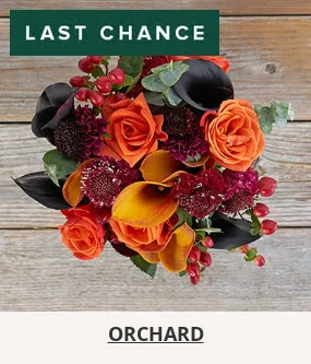 Flowers At a Great Price