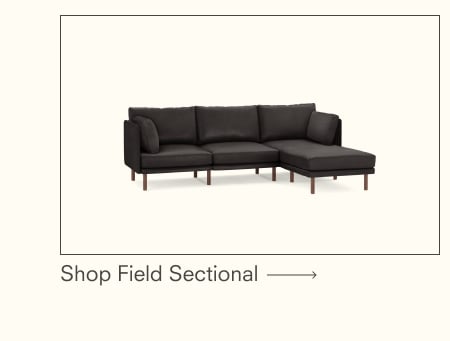 Field Sectional
