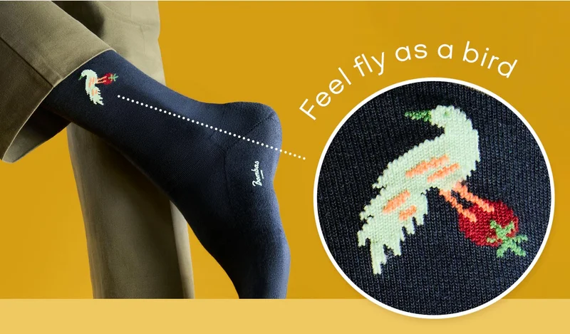 Feel fly as a bird