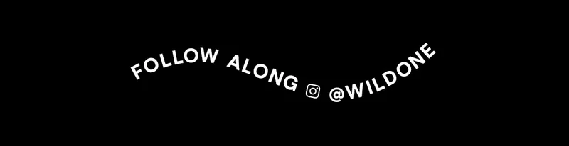 follow us on instagram