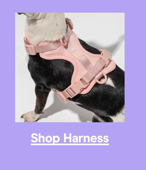 harness