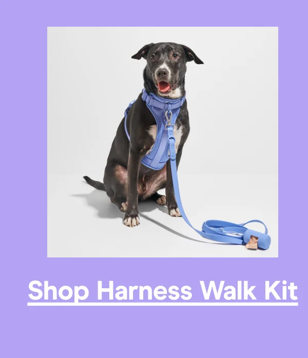 walk kit