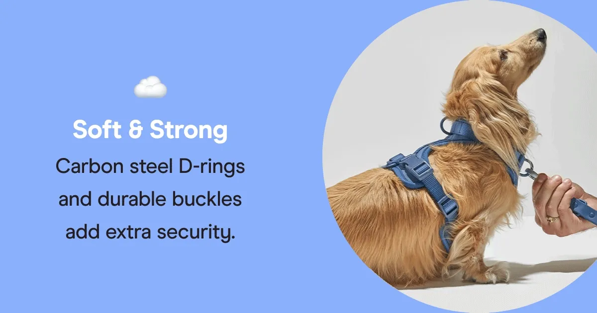 soft & strong