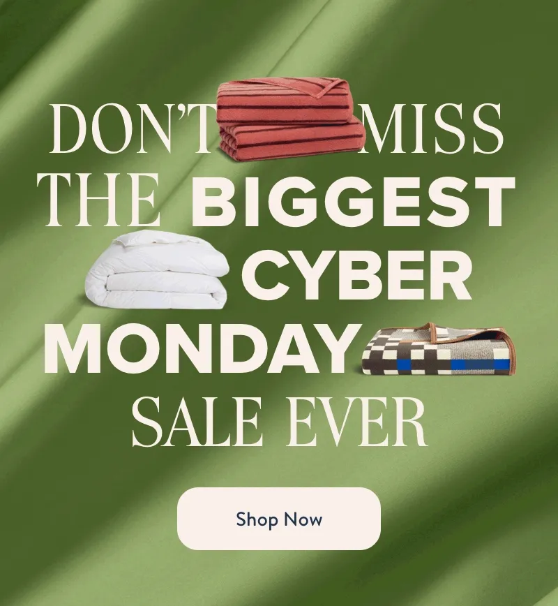 The Cyber Monday Sale