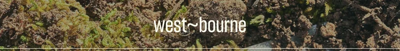 westbourne