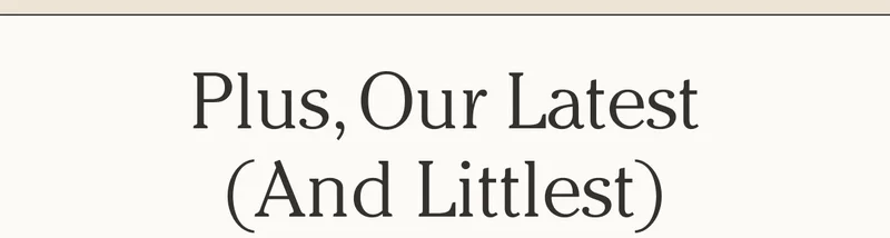 Plus, Our Latest (and littlest)