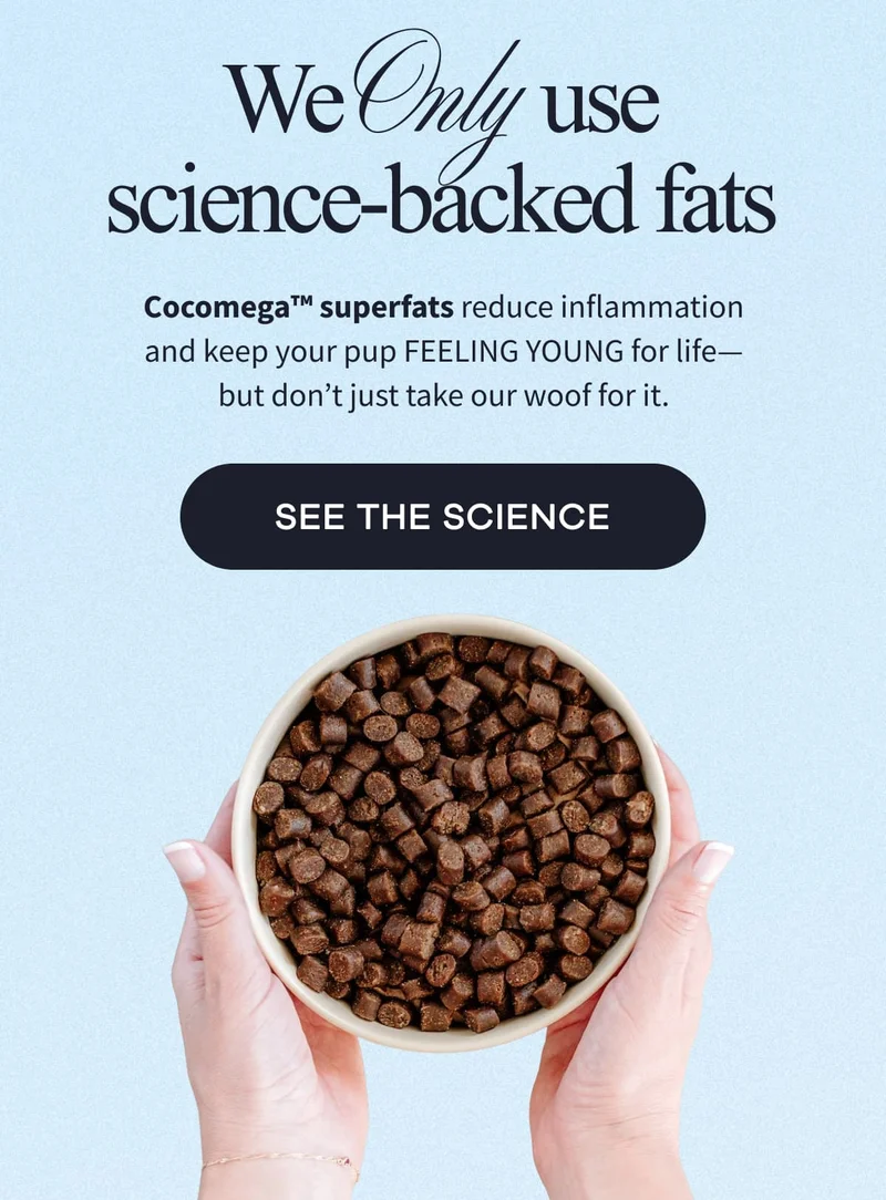 We Only use science-backed fats | Cocomega™️&nbsp;superfats reduce inflammation and keep your pup FEELING YOUNG for life—but don’t just take our woof for it. | SEE THE SCIENCE