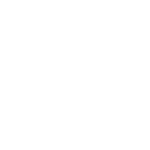 bag icon