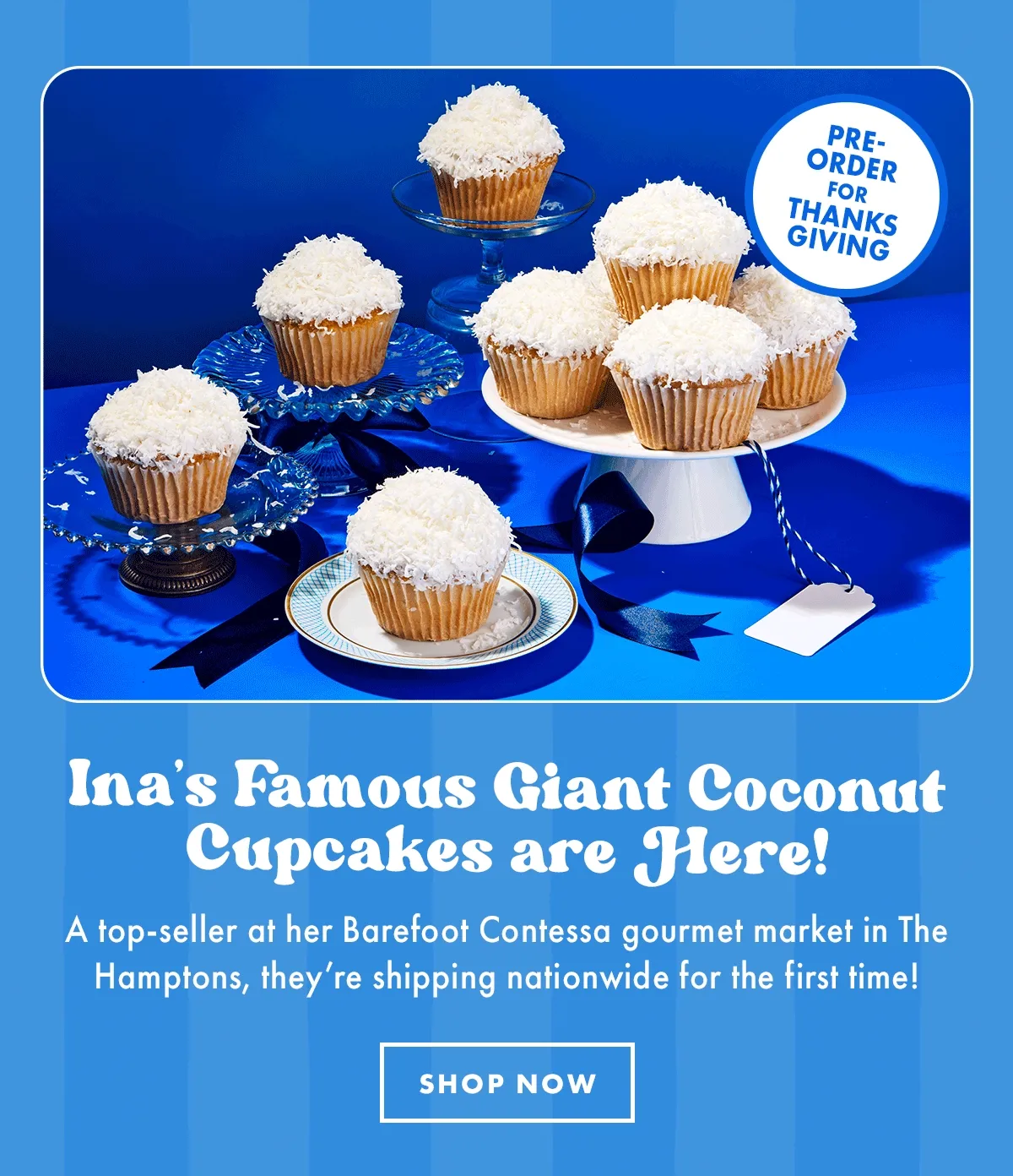 New Giant Coconut Cupcakes New Giant Coconut Cupcakes