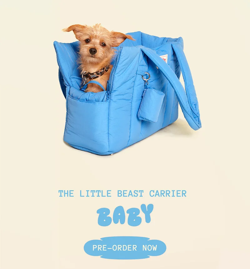 The little beast carrier baby