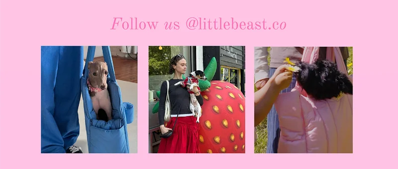 Follow us on Instagram