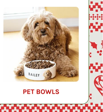 Dog Bowls