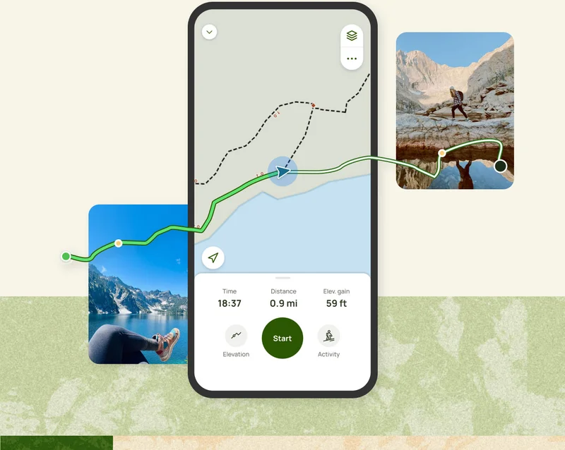 Stay on course with Navigator