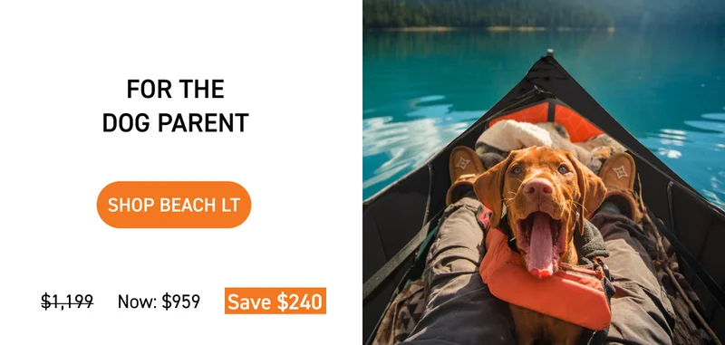 SHOP $240 OFF BEACH LT SHOP $240 OFF BEACH LT