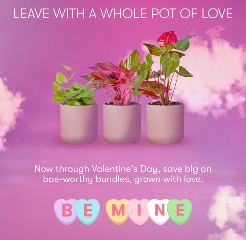 Leave With A Whole Pot Of Love. Now through Valentine's Day, save big on bae-worthy bundles, grown with love. Be Mine