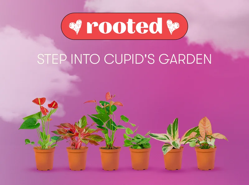 Rooted. Step Into Cupid's Garden