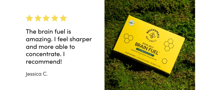 brain fuel