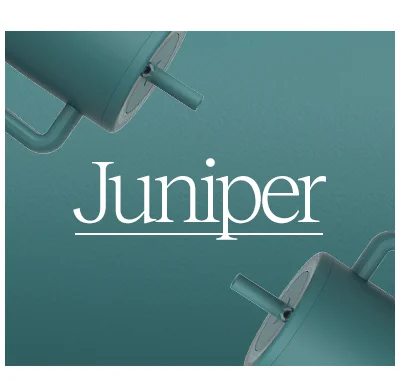 Juniper