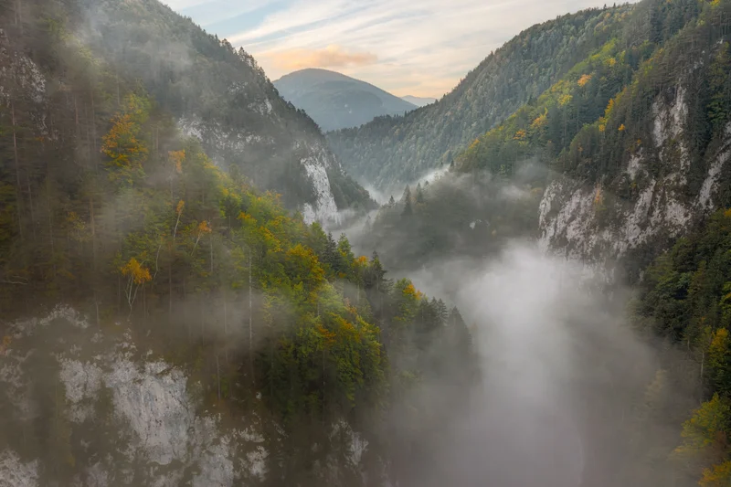 This area is home to golden eagles, Ural owls, otters, wild boar, wolves, lynx, and brown bears, the Carpathians—and is one of Europe's last stretches of wilderness.