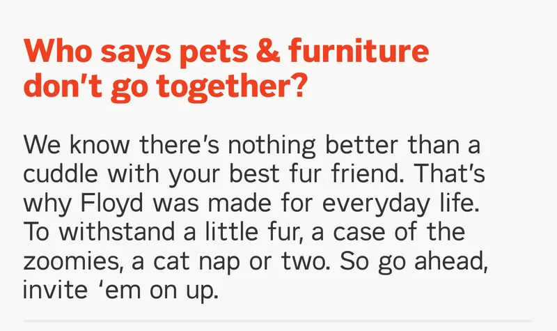 Who says pets & furniture don't go together?