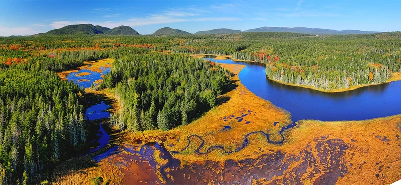 A scenic view of Bass Harbor Marsh on Mount Desert Island.