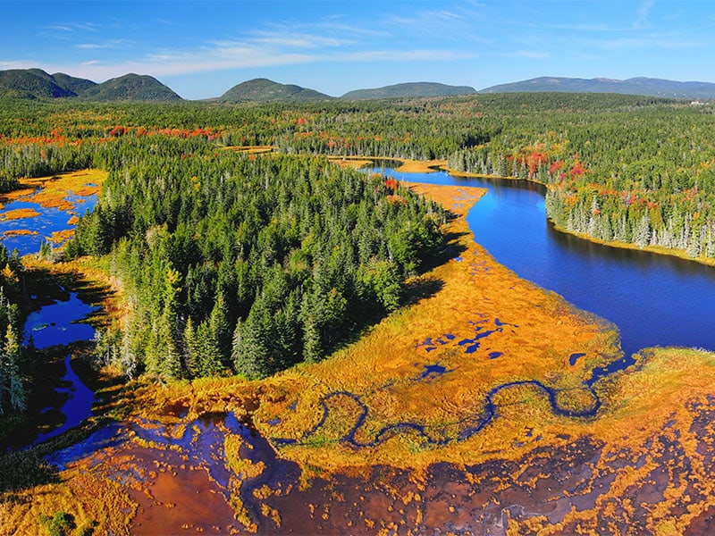 A scenic view of Bass Harbor Marsh on Mount Desert Island.