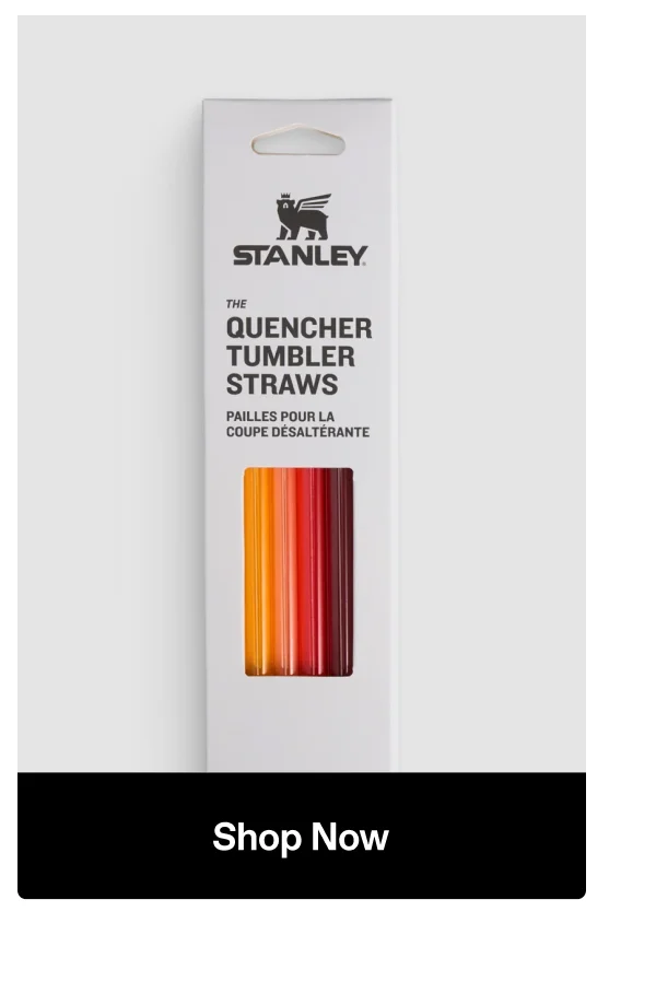 Adventure Quencher Travel Tumbler Straws | 30 OZ | 4-Pack