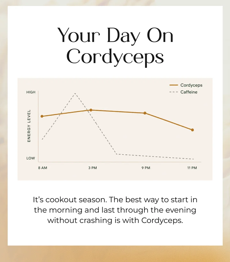 your day on the cordyceps