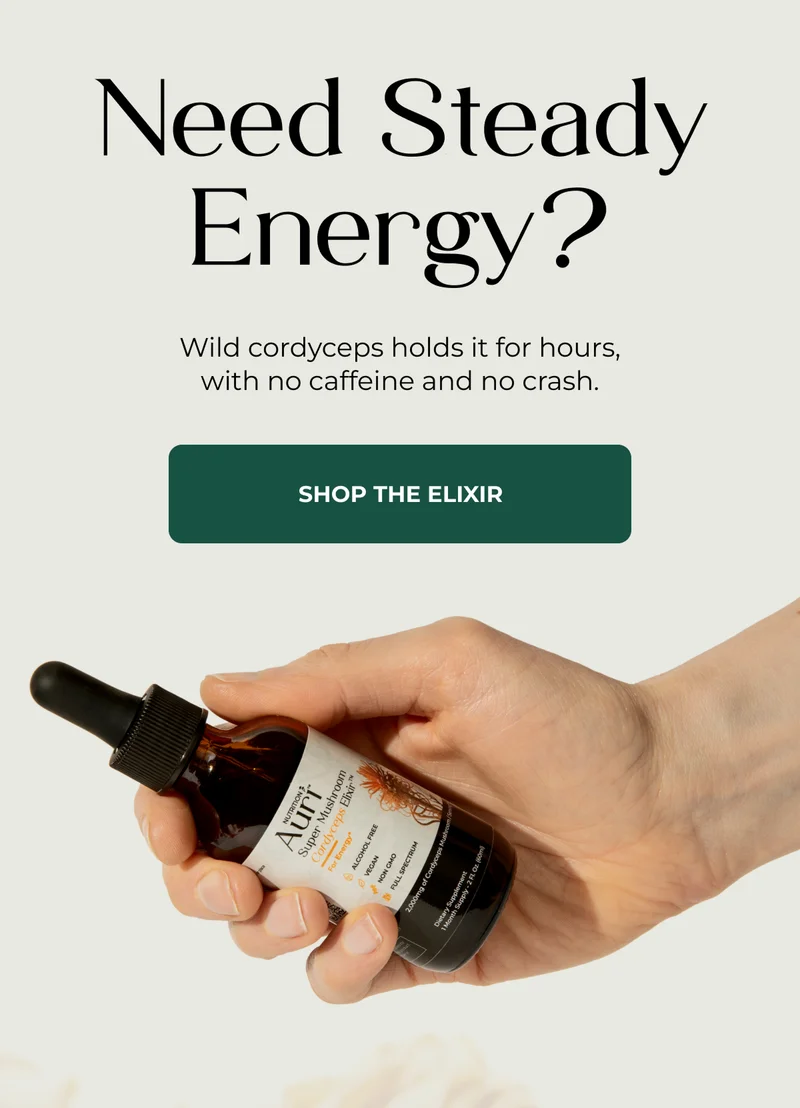 need steady energy?