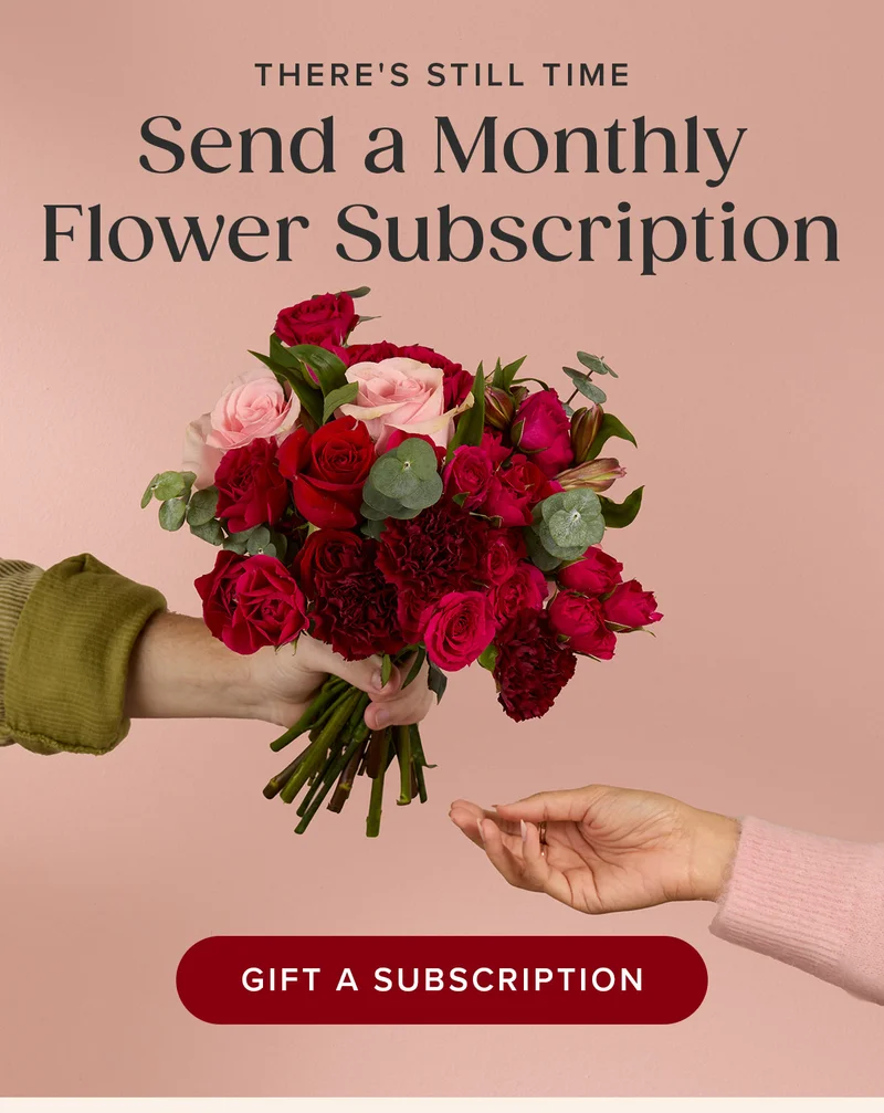 There's Still Time - Send a Monthly Flower Subscription. Gift A Subscription. There's Still Time - Send a Monthly Flower Subscription. Gift A Subscription.