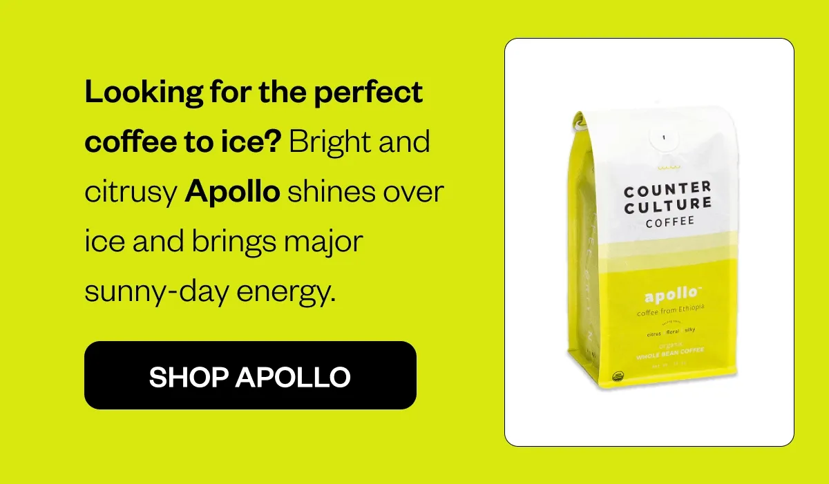 Looking for the perfect coffee to ice? Bright and citrusy Apollo shines over ice and brings major sunny-day energy.. Shop Apollo Looking for the perfect coffee to ice? Bright and citrusy Apollo shines over ice and brings major sunny-day energy.. Shop Apollo