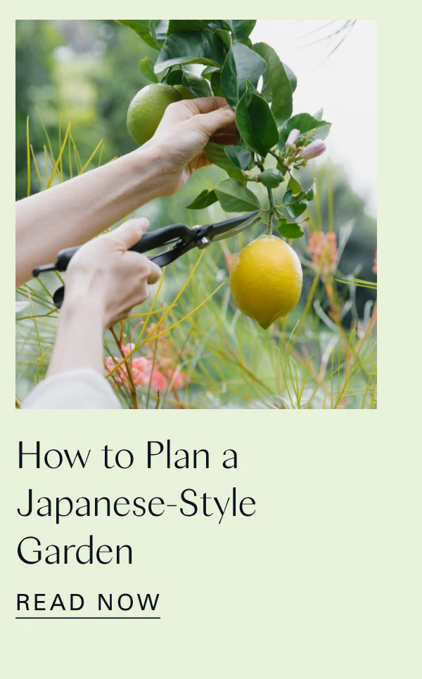 How to Plan a Japanese-Style Garden