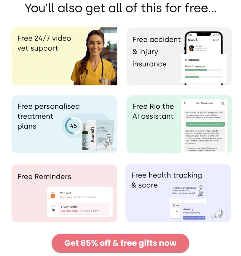 limited offer