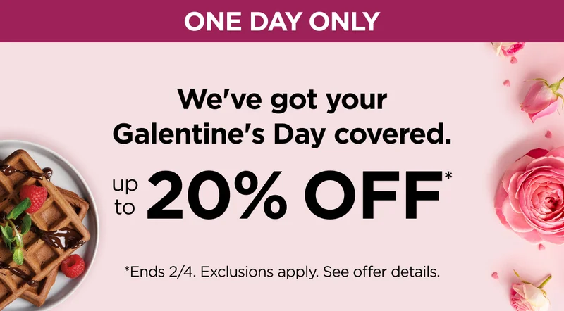 One day only--Up to 20% off*. Ends 2/4. Exclusions apply. See offer details.