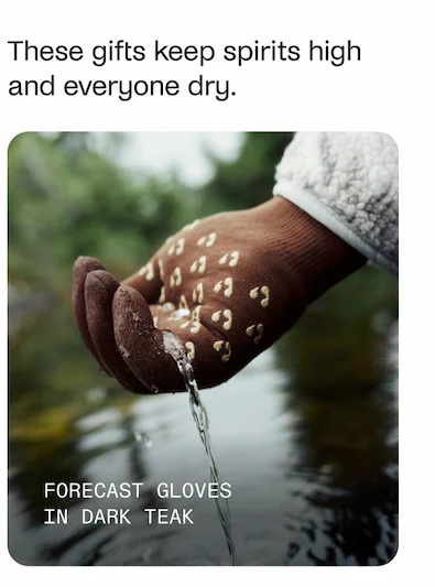 Forecsat Gloves in Dark Teak