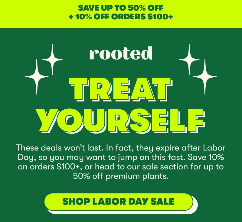 SAVE UP TO 50% OFF + 10% OFF ORDERS $100+  TREAT YOURSELF  These deals won’t last. In fact, they expire after Labor Day, so you may want to jump on this fast. Save 10% on orders 100%, or head to our sale section for up to 50% off premium plants. [ SHOP LABOR DAY SALE]
