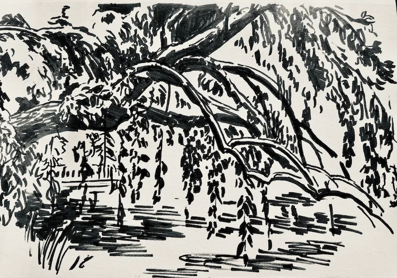 “Willow” by Linda Berkowitz