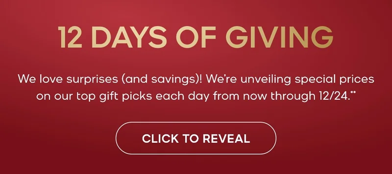 12 DAYS OF GIVING BANNER
