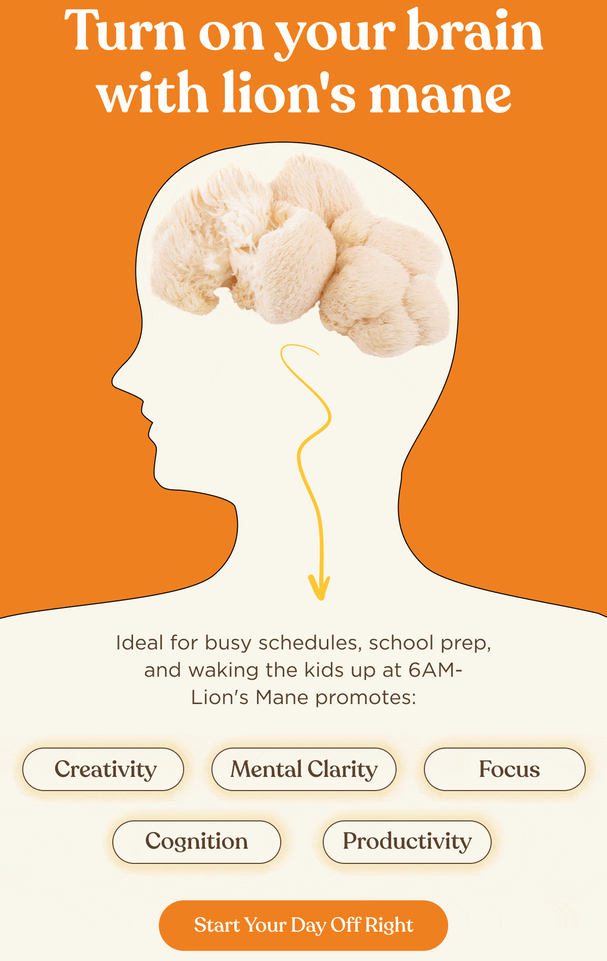 Turn on your brain with lion's mane | Ideal for busy schedules, school prep, and waking the kids up at 6AM-Lion's Mane promotes: | Creativity, Mental Clarity, Focus, Cognition, Productivity | Start Your Day Off Right