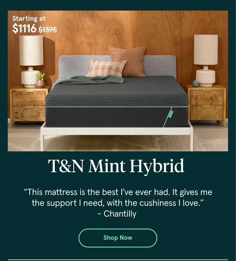 T&N Mint Hybrid