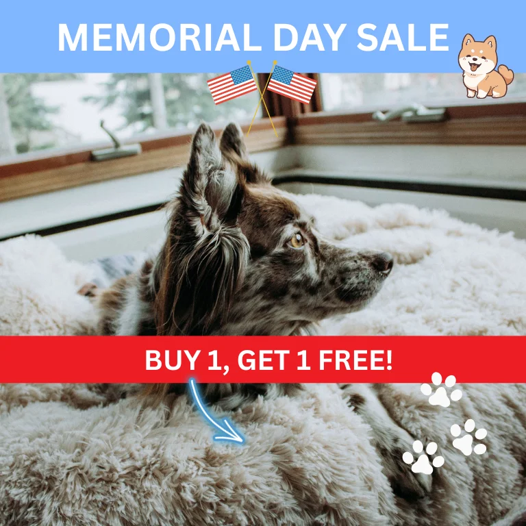 Pawproof pet blanket